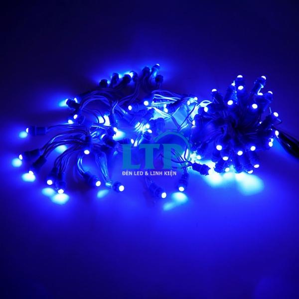 Led Đúc F5 12V SenYang (Dây Đồng) Màu xanh dương