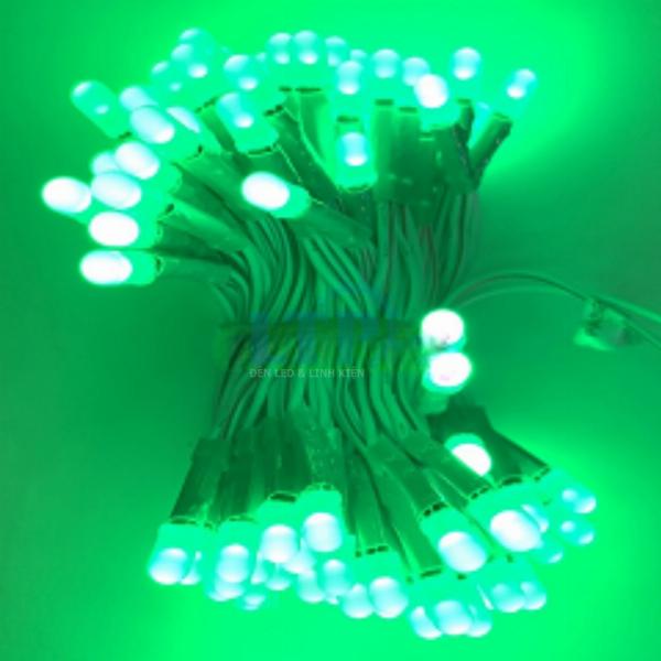 [Bịt 1000c] Led Ruồi Liền Dây 12V SenYang Taiwan Dây Đồng 